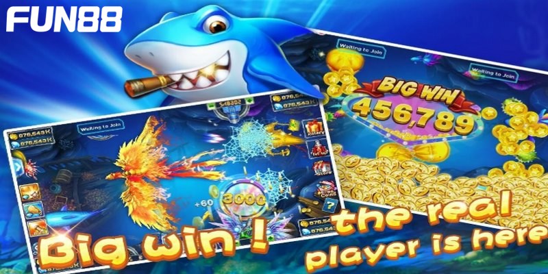 tro choi ban ca vang mang den mot trai nghiem thu vi Trò chơi bắn cá vàng mang đến một trải nghiệm thú vị