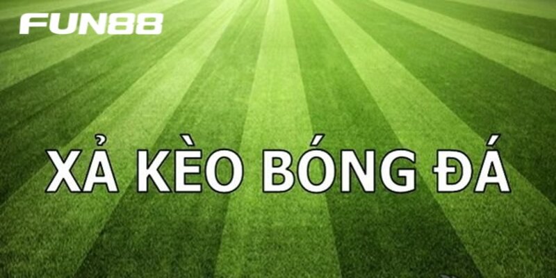 chia-khoa-vang-de-tranh-bay-tiem-an-khi-qua-lam-dung-cat-lo Chìa khóa vàng để tránh bẫy tiềm ẩn khi quá lạm dụng cắt lỗ